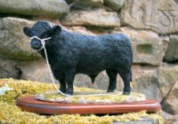 Welsh Black bull Jean Fowler.jpg